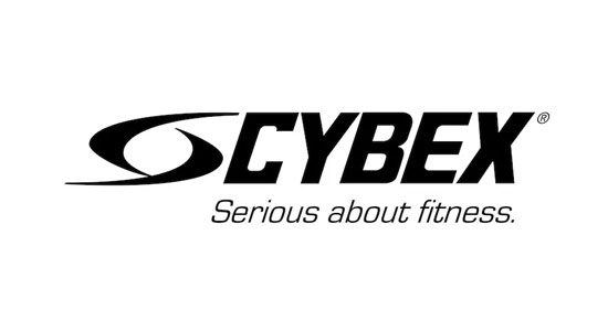black text on white background cybex logo