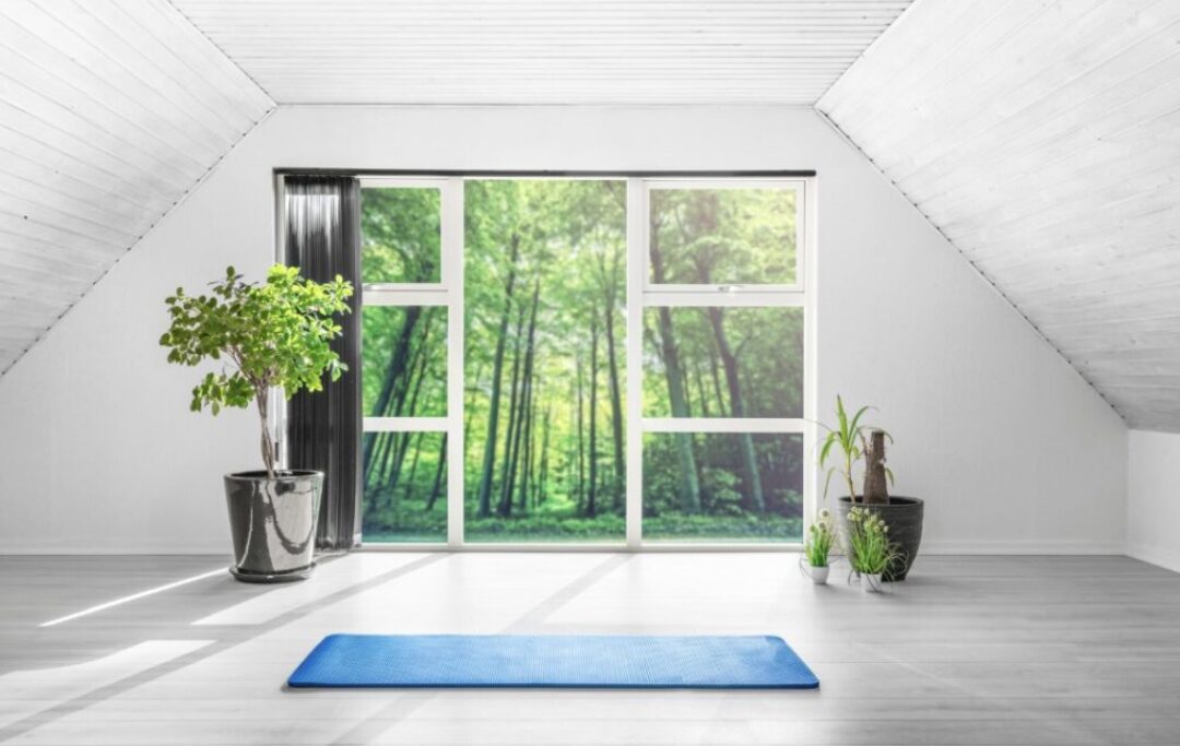 Graphic image of window and forest outside