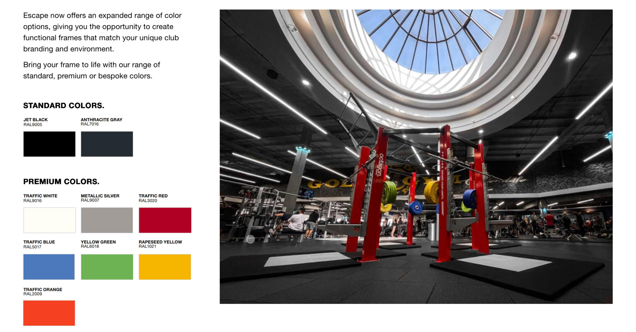 Commercial vs. Consumer Grade Exercise Equipment: What’s the difference ...